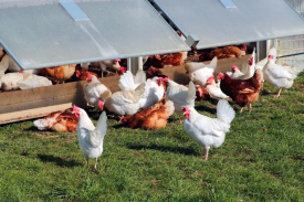 现代化规；；；臣巴涝准庸は钅靠尚行匝芯勘ǜ