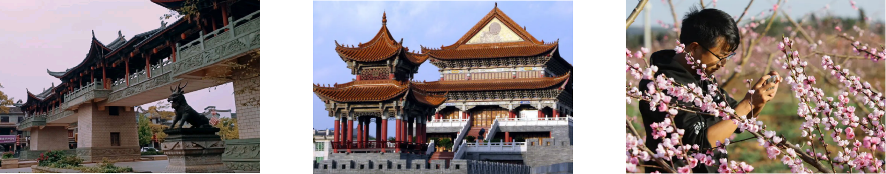 新宝GG—创立事业平台在线登录