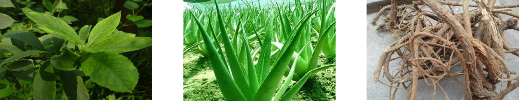 新宝GG—创立事业平台在线登录