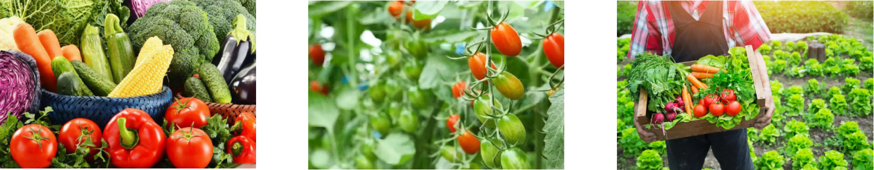 新宝GG—创立事业平台在线登录