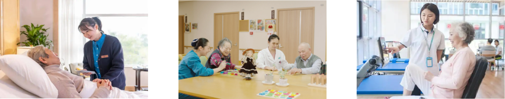 新宝GG—创立事业平台在线登录