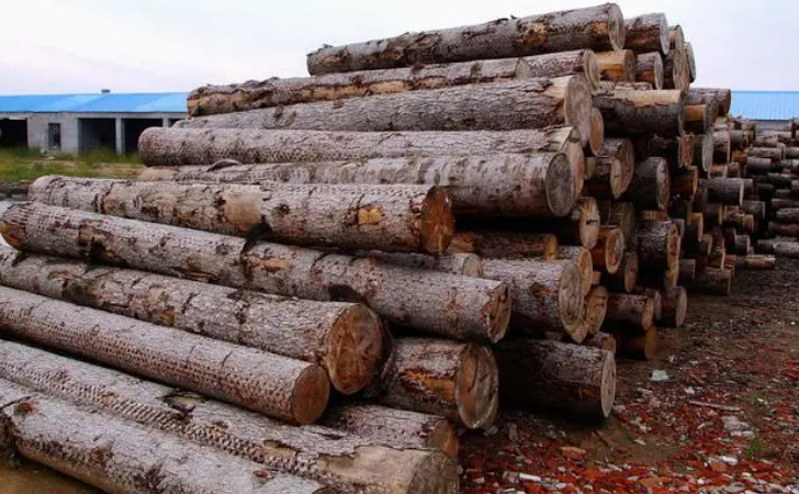 新宝GG—创立事业平台在线登录