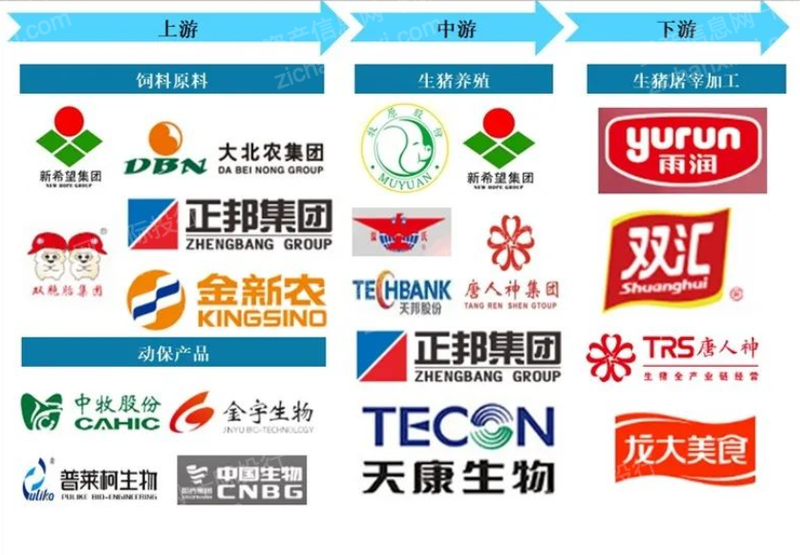 新宝GG—创立事业平台在线登录