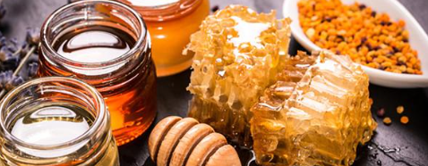 新宝GG—创立事业平台在线登录