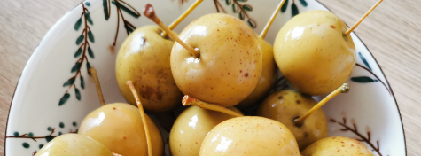 新宝GG—创立事业平台在线登录