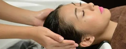 新宝GG—创立事业平台在线登录