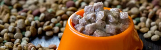 新宝GG—创立事业平台在线登录