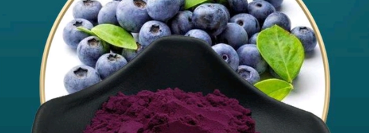 新宝GG—创立事业平台在线登录