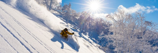 新宝GG—创立事业平台在线登录