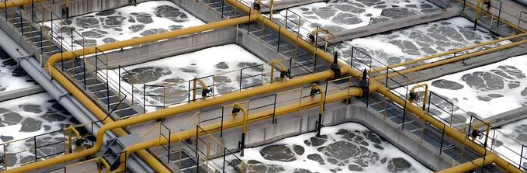 新宝GG—创立事业平台在线登录