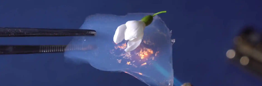 新宝GG—创立事业平台在线登录