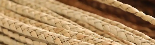 新宝GG—创立事业平台在线登录