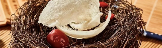 新宝GG—创立事业平台在线登录