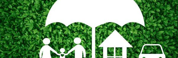 新宝GG—创立事业平台在线登录