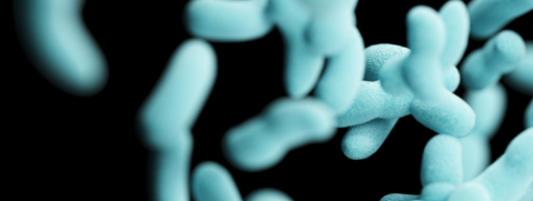 新宝GG—创立事业平台在线登录