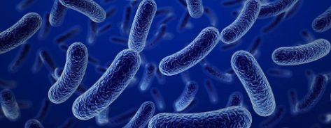 新宝GG—创立事业平台在线登录