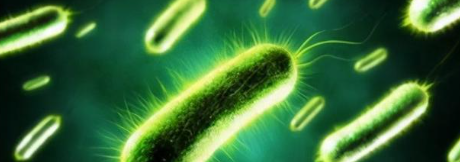 新宝GG—创立事业平台在线登录