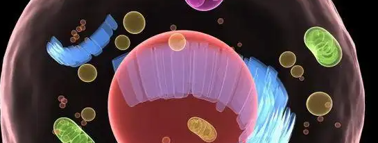 新宝GG—创立事业平台在线登录