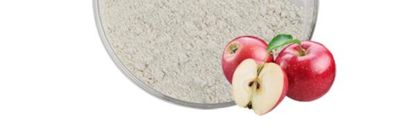 新宝GG—创立事业平台在线登录