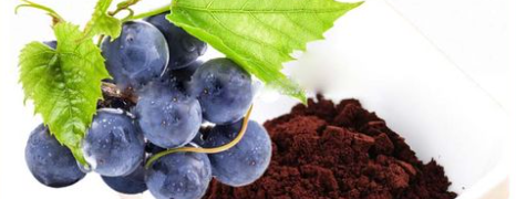 新宝GG—创立事业平台在线登录