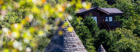 新宝GG—创立事业平台在线登录