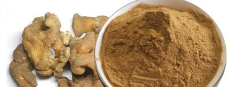 新宝GG—创立事业平台在线登录