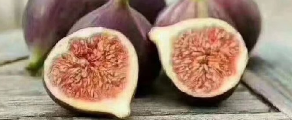 新宝GG—创立事业平台在线登录