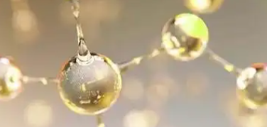 新宝GG—创立事业平台在线登录