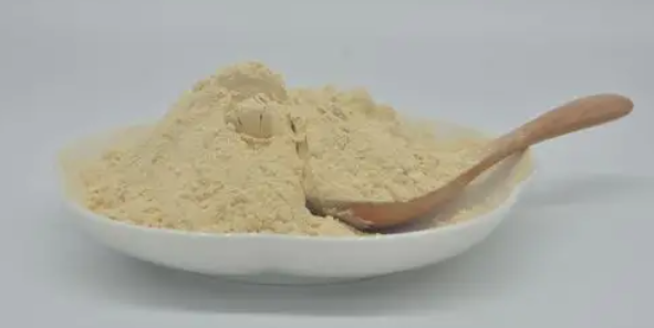 新宝GG—创立事业平台在线登录