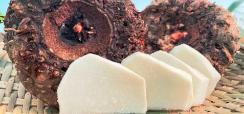 新宝GG—创立事业平台在线登录