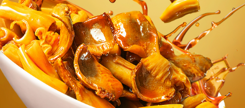 新宝GG—创立事业平台在线登录