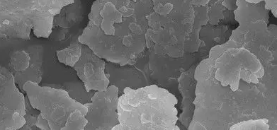 新宝GG—创立事业平台在线登录