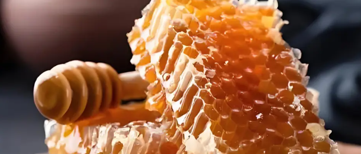 新宝GG—创立事业平台在线登录