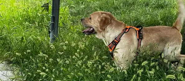 新宝GG—创立事业平台在线登录