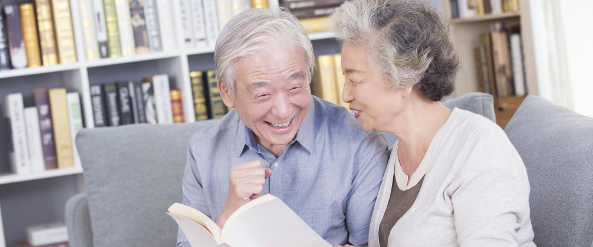 新宝GG—创立事业平台在线登录