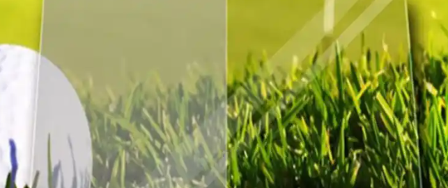 新宝GG—创立事业平台在线登录