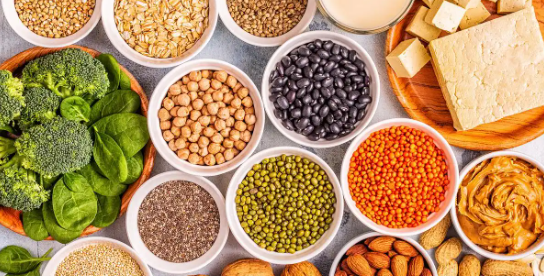 新宝GG—创立事业平台在线登录