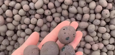 新宝GG—创立事业平台在线登录