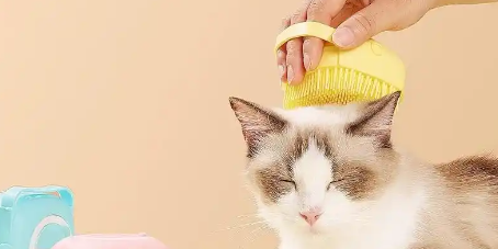 新宝GG—创立事业平台在线登录