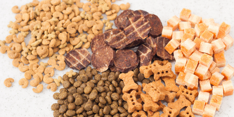 新宝GG—创立事业平台在线登录