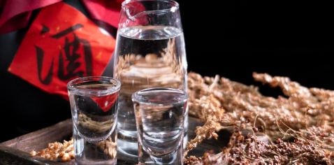 新宝GG—创立事业平台在线登录