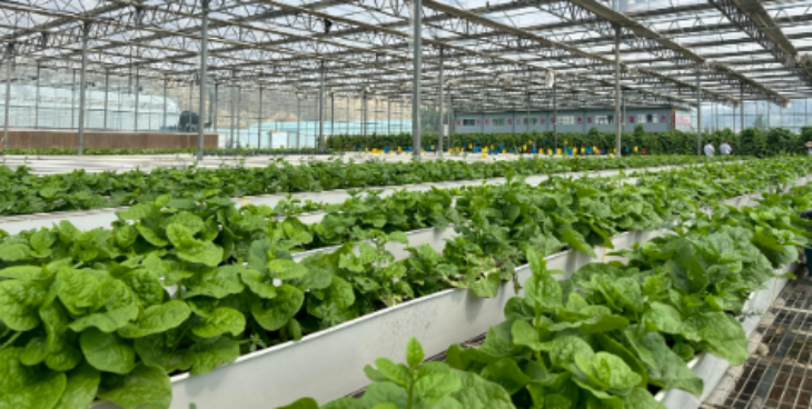 新宝GG—创立事业平台在线登录