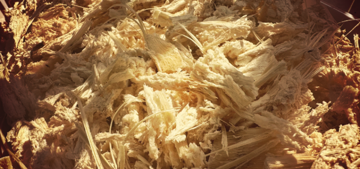 新宝GG—创立事业平台在线登录