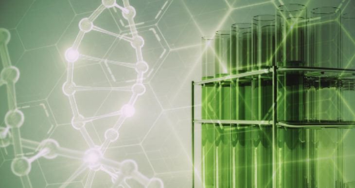 新宝GG—创立事业平台在线登录