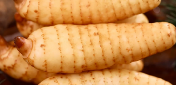 新宝GG—创立事业平台在线登录