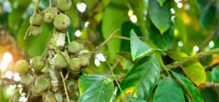 新宝GG—创立事业平台在线登录