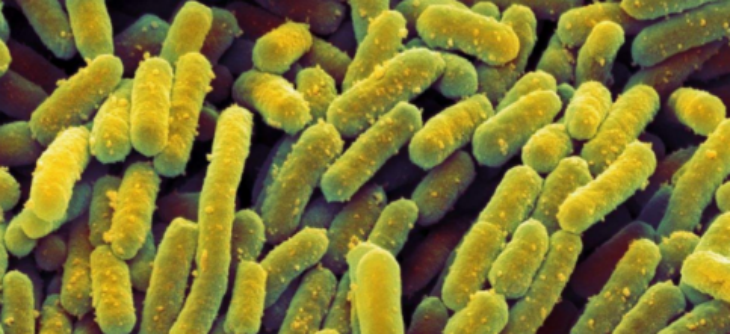 新宝GG—创立事业平台在线登录