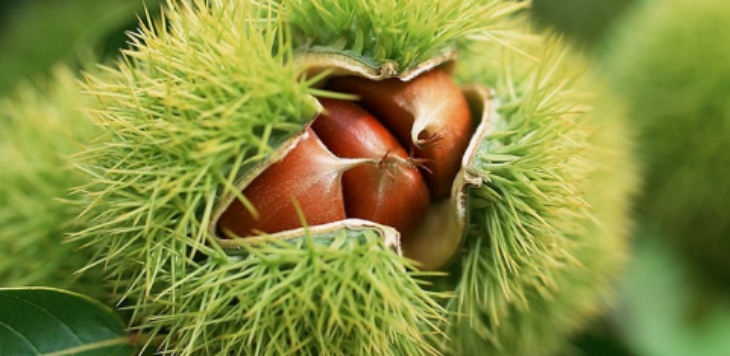 新宝GG—创立事业平台在线登录