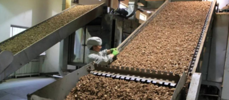 新宝GG—创立事业平台在线登录