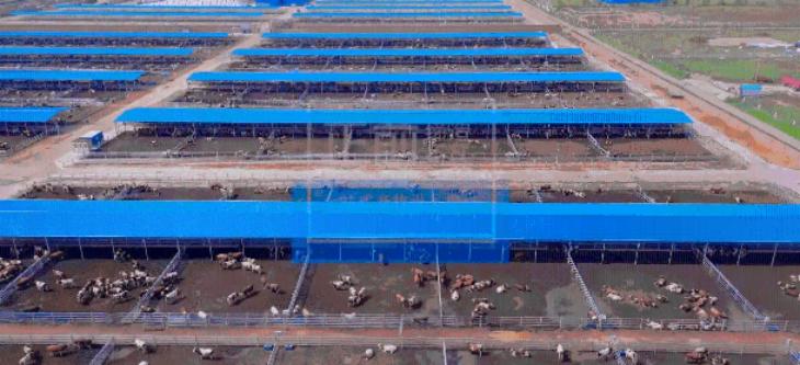 新宝GG—创立事业平台在线登录